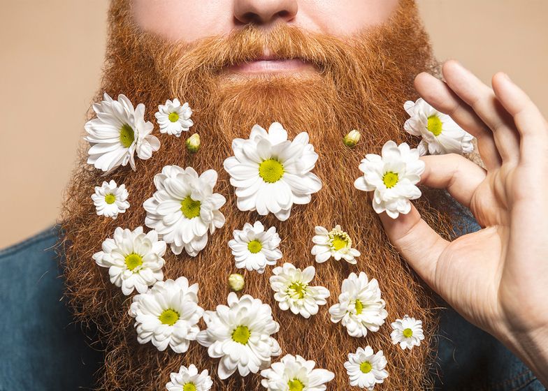 homme barbe rousse fleurs blanches marguerite